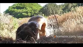 خارج عكس كون كردن از لزبین بدن کامل