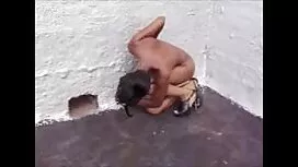 دوست دارد خروس را آب کند و لبهایش عكس كوس ايرانى را روی آن بگذارد