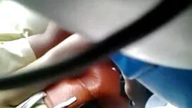 بلوند نازک عکس سکسی پشمالو توسط یک مرد ریش دار طاس گرفتار است