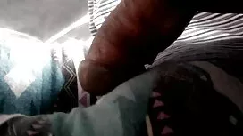 پیچ خود را با گربه مودار می خواهد به دوربین عكس سكسى كس باشد